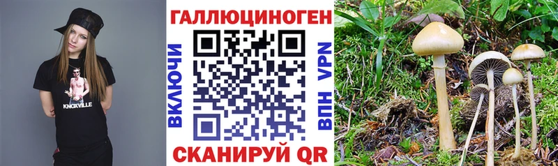 Галлюциногенные грибы Magic Shrooms Тырныауз